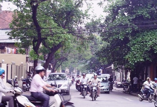 cua hang thuc pham bo duong nutri vn tren pho cao ba quoat