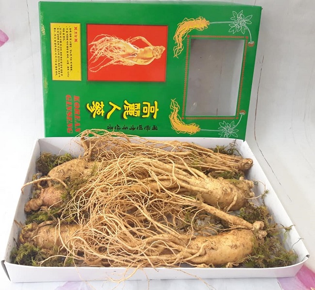 Nhân Sâm Tươi Hàn Quốc 6 Năm Tuổi – 6 Củ/1kg