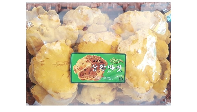 Nấm Thượng Hoàng Hàn Quốc Cao Cấp - 500g - Nutri